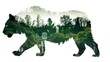 Double expose silhouette of a tiger standing, in the style of photocollage, eco, architecture, AI Generative