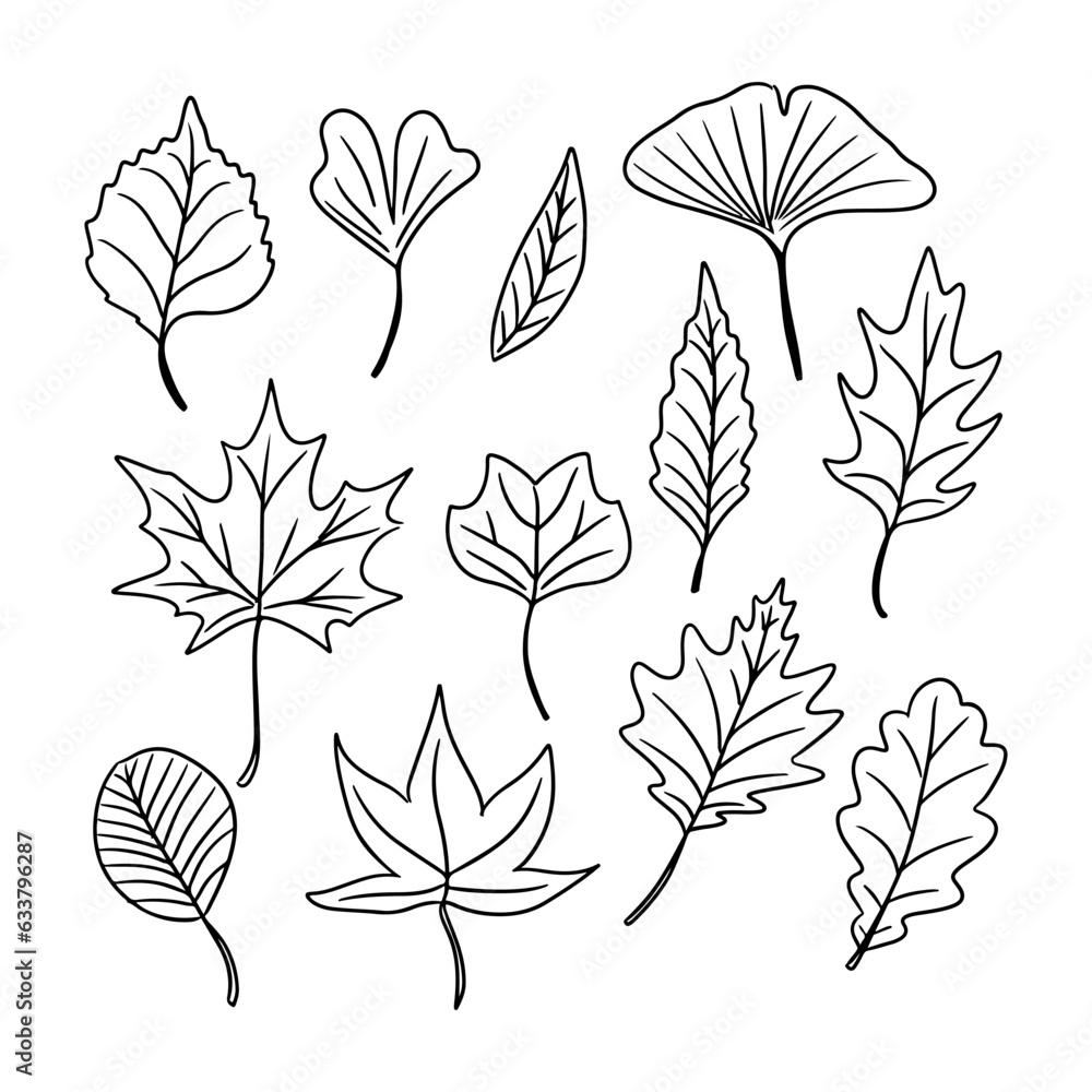 Set of hand drawn outline autumn leaves doodles. Black vector elements ...