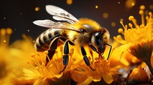  A Bee On A Yellow Flower With Water Droplets On It.  Generative Ai
