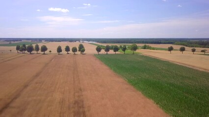 Sticker - Summer fields in Poland, rural landscape.