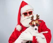 Portrait Of Santa Claus In Sunglasses And Dog Jack Russell Terrier In Rudolf Reindeer Ears On A White Background. 