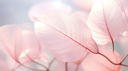 Wall Mural - Light pink transparent leaves background