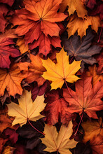 Fall Leaves Background With Orange Colorful Leaves Filling Ebtire Frame, Generative AI