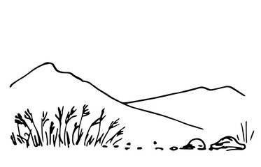 Wall Mural - Mountain landscape, desert area, dry grass, pampas. Nature. Simple black outline vector drawing. Sketch in ink.