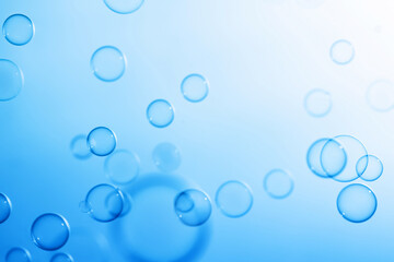 Poster - Beautiful Transparent Blue Soap Bubbles Floating in The Air. White Space, Abstract Fun Background, Blue Gradient Blurred Background, Refreshing of Soap Suds Bubbles Water.