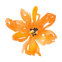 Watercolor Bright Orange Flower