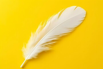 Wall Mural - Close up of bright white feather. Copy space, yellow background. Fashion and Party concept. 