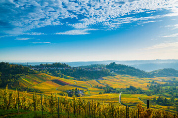 Germany, Stuttgart rotenberg city grabkapelle panorama view autumn colors above vineyards houses sunset nature landscape