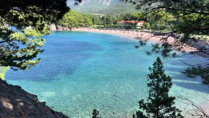 Canvas Print - Sea blue water, beautiful beach and pine trees on the shore at summer sunny day, Adriatic coast, Montenegro.