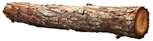 Wooden Log Isolated.