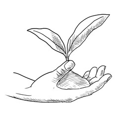 Hand with a sprout. Ecology illustration. Isolated on white. Hand drawn style.