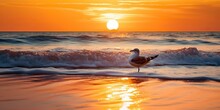 AI Generated. AI Generative. Beautifil Sea Nautical Sunset Beach Island With Seagull Bird. Graphic Art