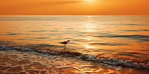  AI Generated. AI Generative. Beautifil sea nautical sunset beach island with seagull bird. Adventure promotion background