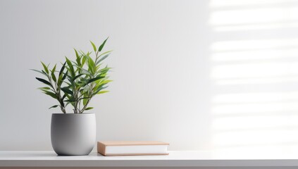 Wall Mural - wall art mockup with green plant, white wall and shelf