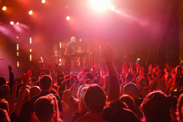 Wall Mural - Crowd dancing to music during concert in neon lights