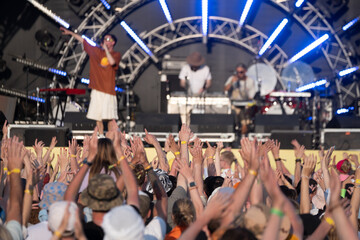 Wall Mural - Crowd of people waving hands for music band