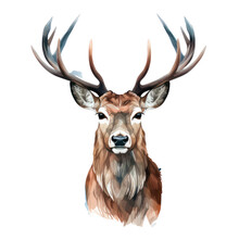 A Deer Isolated On Transparent Background Png.