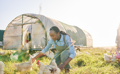 Wall Mural - Chicken coop, black woman and agriculture on a eco friendly and sustainable with farm management. Countryside, field and agro farmer with a smile from farming, animal care work and working in nature