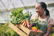 © Davids C/peopleimages.com - Woman, happy farmer and vegetables in greenhouse for agriculture, business growth and product in box. Excited African worker or supplier harvest and gardening with food, carrot and lettuce in basket