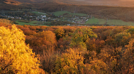 Canvas Print - Autumn colorful sunset with village and forest, Slovakia - castle Pajstun