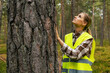 © ronstik - forest inspection and management, renewable resources. female forestry technician checking quality of pine tree