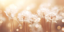 Abstract Background Featuring A Dandelion Seed In A Soft, Dreamlike Atmosphere. Defocused Elements And Warm Colors Capture Dandelion's Magic In The Wind.
