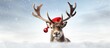 3D Illustration of reindeer with red nose and Santa hat against white backdrop