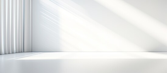 Poster - Plain white studio background for showcasing products Vacant space with window shadows Present items against blurred backdrop Gentle focus