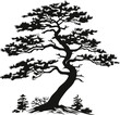 tree pine silhouette tattoo, logo cypress tree evergreen, cedar forest wood vector illustration. conifer tree.