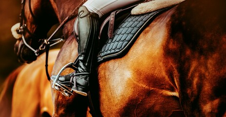 Wall Mural - A high boot-clad rider's leg in a stirrup, mounted on a chestnut horse. Equestrian sport and the rider's equipment and attire. Horsemanship and  importance of proper equestrian gear.