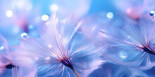 A Close Up Of Purple Flowers, A Dandelion With Water Drops, The Seed Of A Dandelion With Water Drop On Purple Flower. Macro Dandelions On A Beautiful Background. Selective Focus Stock, Generative Ai
