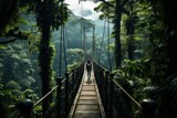 Fototapeta Las - From a lofty vantage point, the dense, verdant expanse of the rainforest stretches out. Amidst this sea of green, a lone researcher treads the canopy walk, a sentinel of nature's mysteries.
