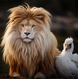 Fototapeta  - portrait of a lion with a dove