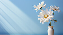Daisy Flowers On Minimalist Light Background