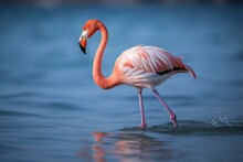 A Flamingo With A Single Leg Standing In The Ocean. Generative AI
