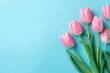 Spring flowers: pink tulips on blue background. Generative AI