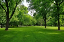 Image Of A Grassy Area Dotted With Trees. Generative AI