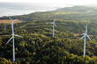 vue en hauteur d'un groupe d'éoliennes dans une forêt au bord du fleuve lors d'un matin ensoleillé