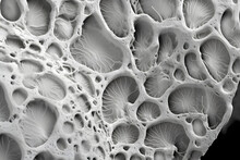 Electron Microscopy Texture Of Bread ,electron Microscopy.GenerativeAI.