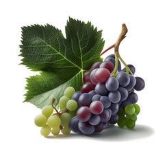 Wall Mural - delicious bunch of grapes on a transparent background. bunch of grapes