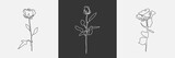 Fototapeta Dmuchawce - Hand drawn rose flower set. Botanical Contour for greeting cards, decoration element. One line floral sketch. Vector
