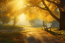 Solitary Bench Lit By Sun In Beautiful Autumn Park With Yellow Trees