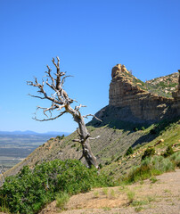 Wall Mural - Landscape photograph taken in Mesa Verde National Park in Colorado of Knife Edge