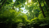 Fototapeta Las - Landscape of natural forest and green fresh nature