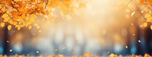 Beautiful yellow red and orange leaves in an autumn park on a br