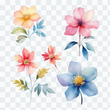 Fototapeta Zwierzęta - Watercolor floral package collection. Use by fabric, fashion, wedding invitation, template, poster, romance, greeting, spring, bouquet, pattern, decoration and textile.	