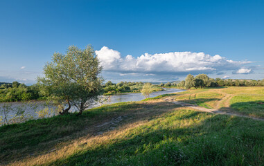 Wall Mural - Picturesque view of the river Mures in Transylvania, Romania on a summer evening