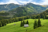 Fototapeta  - mountain huts in the valley in the Tatras, beautiful landscape