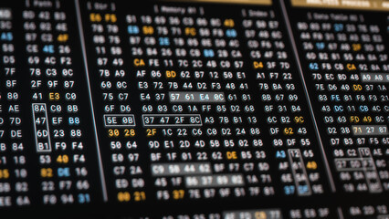 Wall Mural - computer memory code encryption technology for high security. big data analysis process in low level