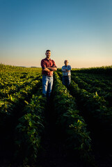 Wall Mural - Portrait of two farmers standing in soy field looking at camera.